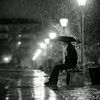 user788082995