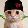 yzd