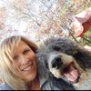 luvmylabrapoodle