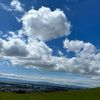 peacefulpettythoughts