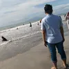 willdanbhullee88