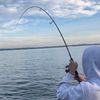 1ucas_fisho