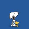 solis_625
