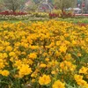 bichngoc.001