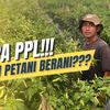 petaniakhirzaman
