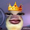 aoliaputs_