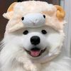 noenoe3187