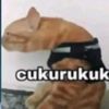 dekkwii710
