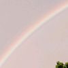 loura_330