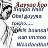 ashabintnegewo