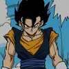 username.gogeta
