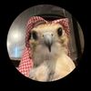 wly_d16
