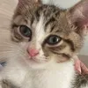 jijika_829