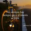 alexandercampaz98