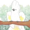 the.parrots.love
