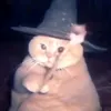 .schmerlin