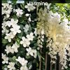 mai_ahmed.88