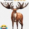 venado_37