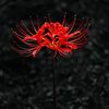 byron_797