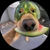 pedron_qualquercoisa