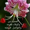 najlaa444