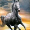 fredy_746