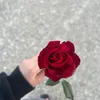 elhamali395
