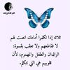 weelyd.mhady1