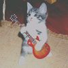 rocknreal