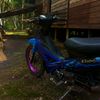 hnapekkk08