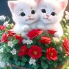 jaforullah12013joy