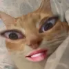 jhaeanniee28