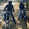 frs_stel