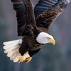mohamedmosta111988