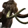 2014mammoth