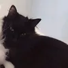 4tr3ssbl0ck