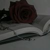 aki_windsley