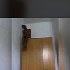 pedrolekside7