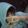 rayhan2406