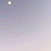 strawsaa_