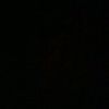 whozzz_ahmii