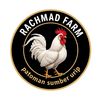 rachmad515