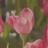 beyeuduy0