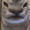 jonny69697