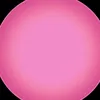 rayy.fernandes1