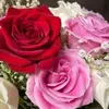 user3520637516192