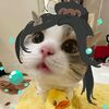 breezy404_