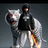 pancatiger