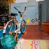 user88488216037651