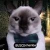 soyalexgamer2